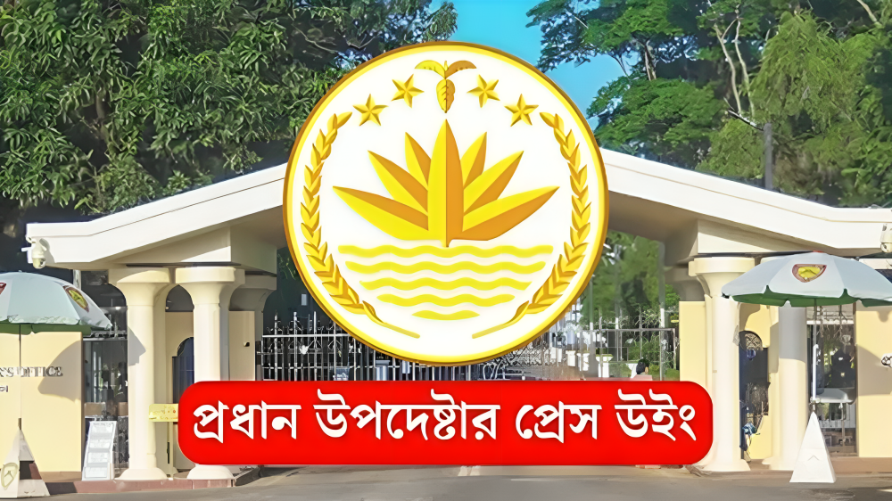 গণভোটে ‘হ্যাঁ’ ভোটের পক্ষে অন্তর্বর্তী সরকারের অবস্থান ব্যাখ্যা করল প্রেস উইং